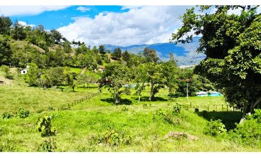 VENDO LOTES PROYECTO CAMPESTRE GUATEQUE - BOYACA