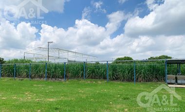 Terreno Nave industrial  y Oficinas en  Venta en la Orduña Coatepec