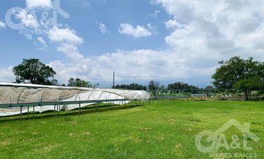 Terreno Nave industrial  y Oficinas en  Venta en la Orduña Coatepec
