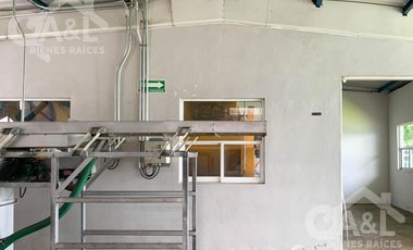 Terreno Nave industrial  y Oficinas en  Venta en la Orduña Coatepec