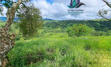 VENDO.FINCA DE 180HA GUALACA