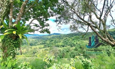 VENDO.FINCA DE 180HA GUALACA