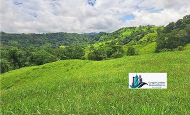 VENDO.FINCA DE 180HA GUALACA