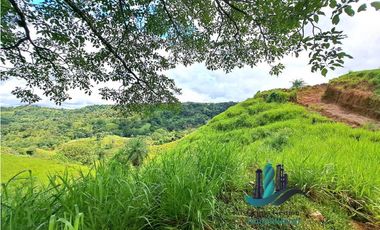 VENDO.FINCA DE 180HA GUALACA