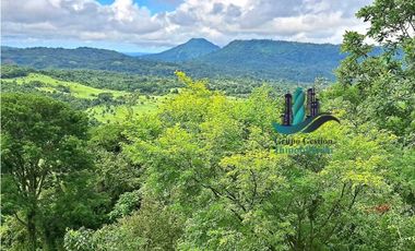 VENDO.FINCA DE 180HA GUALACA