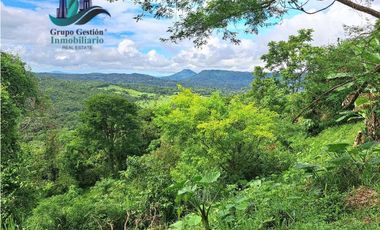 VENDO.FINCA DE 180HA GUALACA