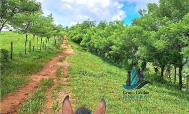 VENDO.FINCA DE 180HA GUALACA