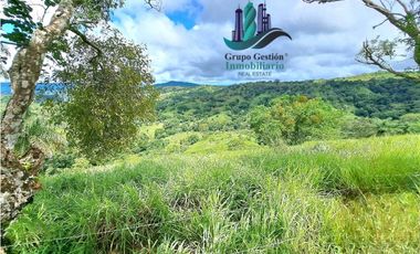 VENDO.FINCA DE 180HA GUALACA