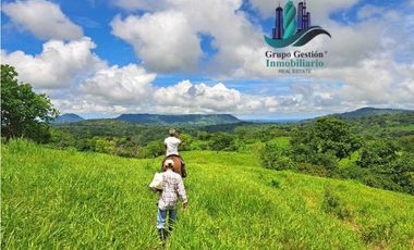 VENDO.FINCA DE 180HA GUALACA