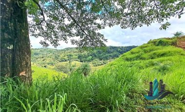 VENDO.FINCA DE 180HA GUALACA