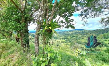 VENDO.FINCA DE 180HA GUALACA