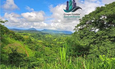VENDO.FINCA DE 180HA GUALACA