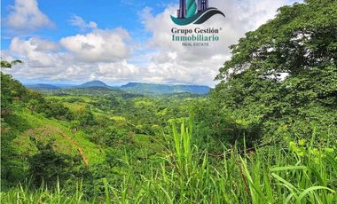 VENDO.FINCA DE 180HA GUALACA