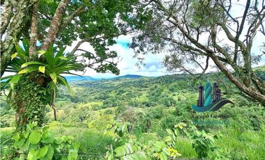 VENDO.FINCA DE 180HA GUALACA