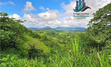 VENDO.FINCA DE 180HA GUALACA