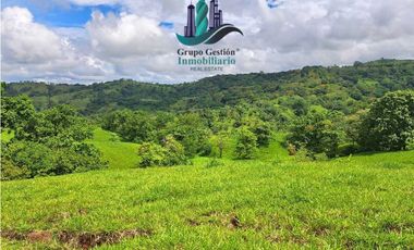 VENDO.FINCA DE 180HA GUALACA