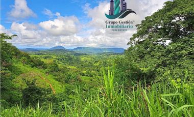 VENDO.FINCA DE 180HA GUALACA