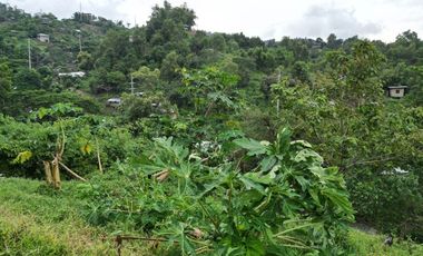 5,000 sqm Rolling Lot with House & Stunning View of Honda Bay - Near City