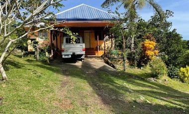 5,000 sqm Rolling Lot with House & Stunning View of Honda Bay - Near City