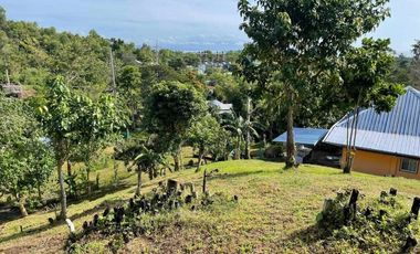 5,000 sqm Rolling Lot with House & Stunning View of Honda Bay - Near City
