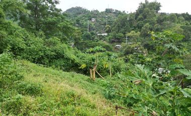5,000 sqm Rolling Lot with House & Stunning View of Honda Bay - Near City