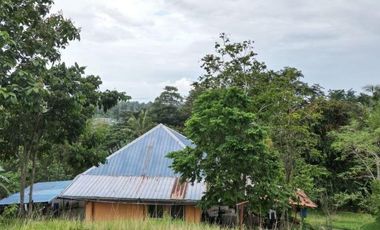 5,000 sqm Rolling Lot with House & Stunning View of Honda Bay - Near City