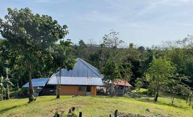 5,000 sqm Rolling Lot with House & Stunning View of Honda Bay - Near City
