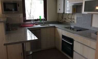 Venta Depto.3D 2B 1E 1B amoblado en Termas de Chillán