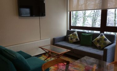 Venta Depto.3D 2B 1E 1B amoblado en Termas de Chillán