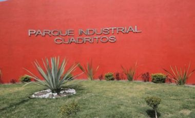celaya NAVE RENTADA en USD PARQUE INDUSTRIAL gto 090625