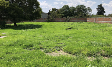 Terreno en venta en Temamatla Centro, Estado de México