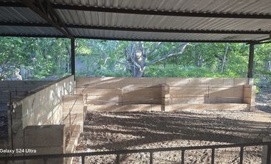 ¡Terreno con Cenote en venta! Valladolid, Yucatán.