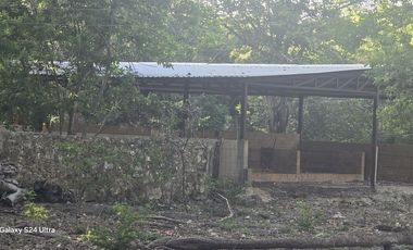 ¡Terreno con Cenote en venta! Valladolid, Yucatán.