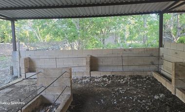 ¡Terreno con Cenote en venta! Valladolid, Yucatán.