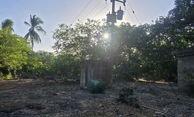 ¡Terreno con Cenote en venta! Valladolid, Yucatán.