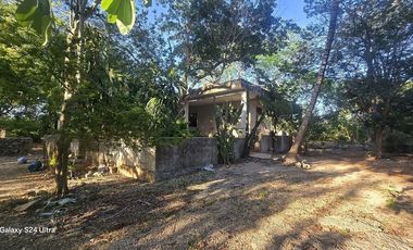 ¡Terreno con Cenote en venta! Valladolid, Yucatán.