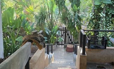 ¡Terreno con Cenote en venta! Valladolid, Yucatán.