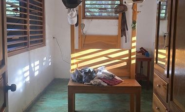 ¡Terreno con Cenote en venta! Valladolid, Yucatán.
