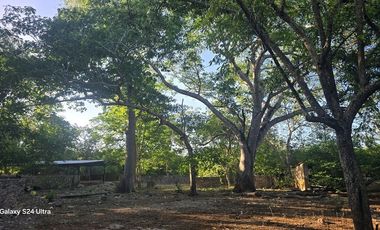 ¡Terreno con Cenote en venta! Valladolid, Yucatán.