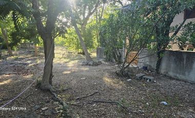 ¡Terreno con Cenote en venta! Valladolid, Yucatán.