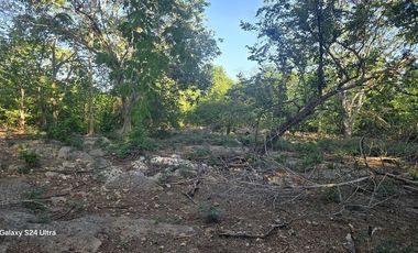 ¡Terreno con Cenote en venta! Valladolid, Yucatán.