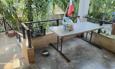 ¡Terreno con Cenote en venta! Valladolid, Yucatán.