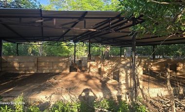 ¡Terreno con Cenote en venta! Valladolid, Yucatán.
