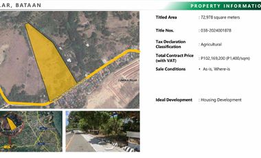 7.2 Hectares For Sales in Pilar Bataan Good for Housing Development