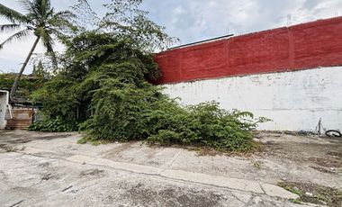 Terreno de uso Mixto en Zona de Alto Tránsito – ¡Listo para Desarrollar!