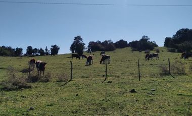 Venta ISLA CHAULLIN, Chiloé