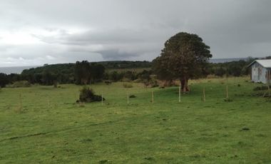Venta ISLA CHAULLIN, Chiloé