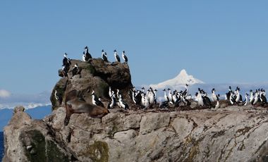 Venta ISLA CHAULLIN, Chiloé