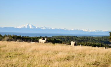 Venta ISLA CHAULLIN, Chiloé