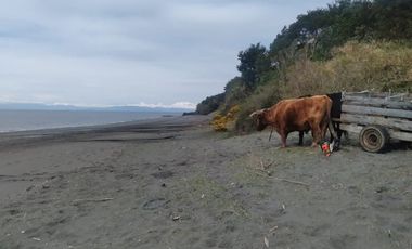 Venta ISLA CHAULLIN, Chiloé